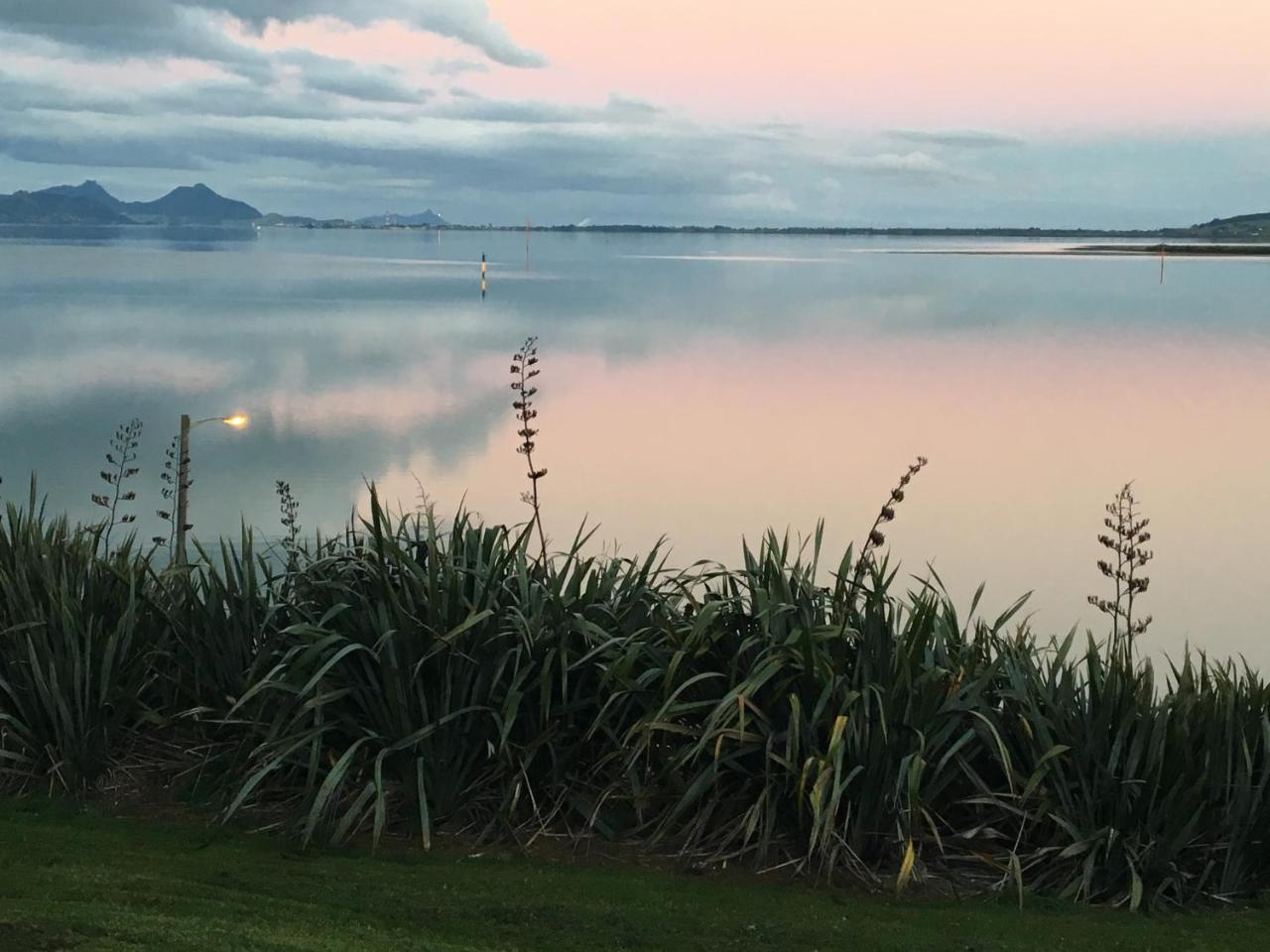 Beach Lane Apartment Whangarei Eksteriør bilde